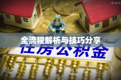 长子全流程解析与技巧分享