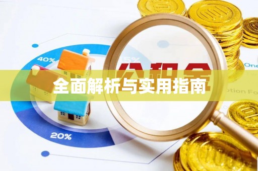 长子全面解析与实用指南