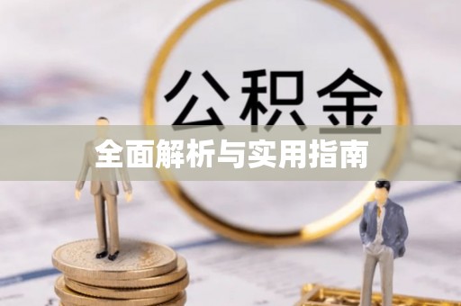 长子全面解析与实用指南